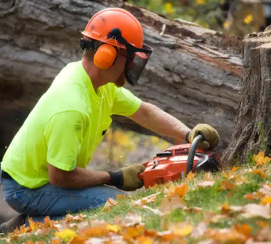 tree services De Soto